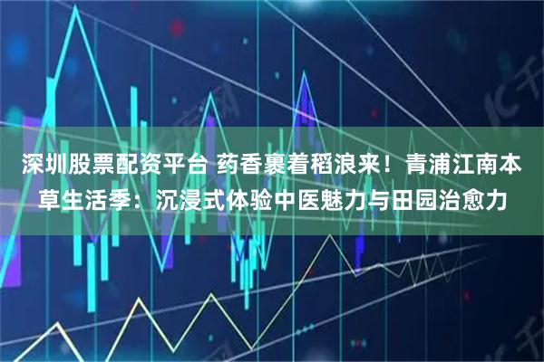 深圳股票配资平台 药香裹着稻浪来！青浦江南本草生活季：沉浸式体验中医魅力与田园治愈力