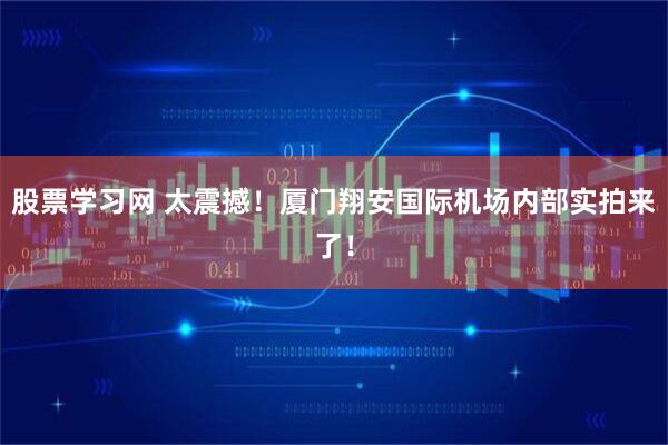 股票学习网 太震撼！厦门翔安国际机场内部实拍来了！