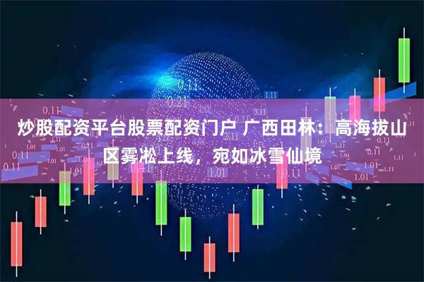 炒股配资平台股票配资门户 广西田林：高海拔山区雾凇上线，宛如冰雪仙境