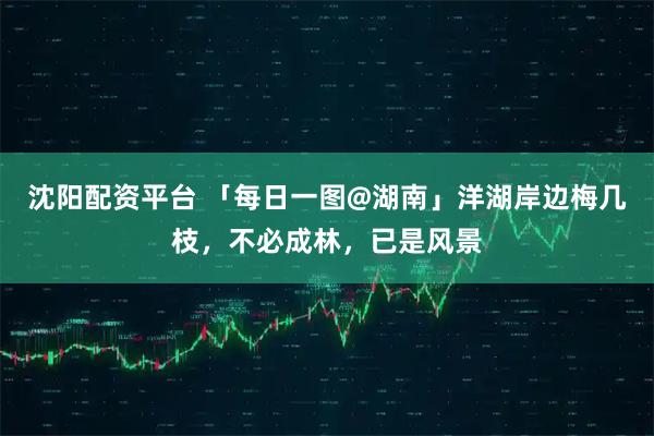 沈阳配资平台 「每日一图@湖南」洋湖岸边梅几枝，不必成林，已是风景